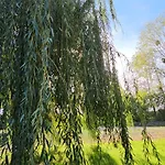 Le Petit Loup Grande Maison De Charme En Campagne 펜션 LʼOie