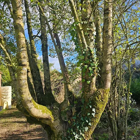 Le Petit Loup Grande Maison De Charme En Campagne 펜션