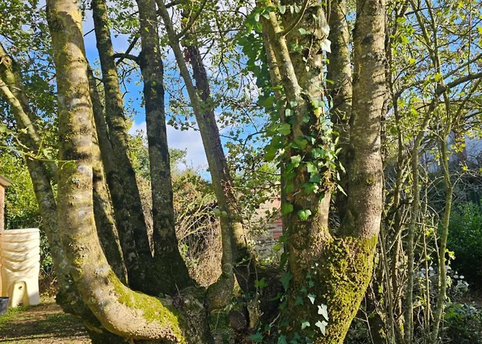 Le Petit Loup Grande Maison De Charme En Campagne Ferienhaus
