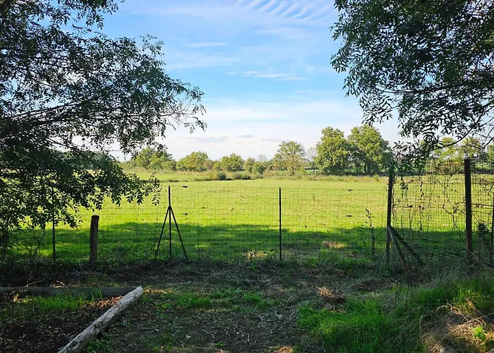 Le Petit Loup Grande Maison De Charme En Campagne * LʼOie